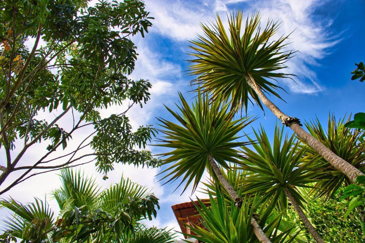 Casa Lobo Villa San Pedro La Laguna Luaran gambar